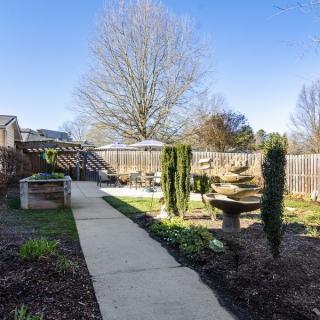 A serene backyard garden with a central concrete pathway surrounded by trees and plants under a clear blue sky.
