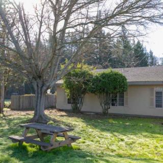 A backyard with a bare tree and a picnic table, adjacent to a house on a sunny winter day.