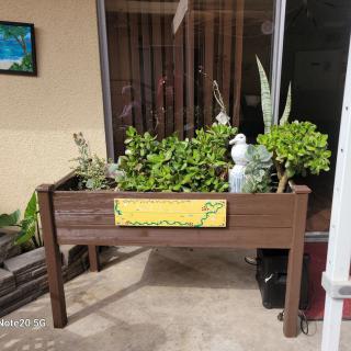 An outdoor planter filled with various green plants.
