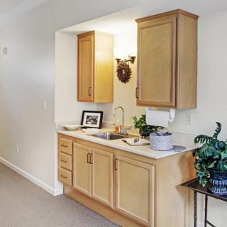 A simple kitchenette with wooden cabinets, a sink, and decorative plants.