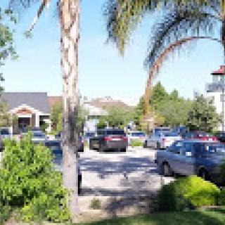 A sunny day at the parking lot filled with cars and surrounded by palm trees.