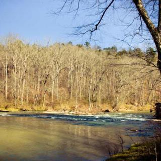 A serene view of a river flowing through a forest with bare trees under a clear blue sky.