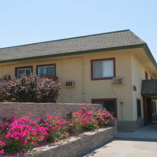 A two-story motel with flowering bushes in front, under a clear blue sky.