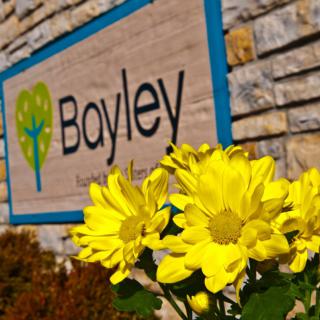 Yellow flowers in front of a Bayley sign on a stone wall.