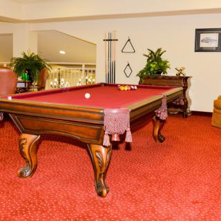 A stylish game room featuring a wooden pool table with a red felt top, set on a vibrant red carpet, surrounded by plants and decor.