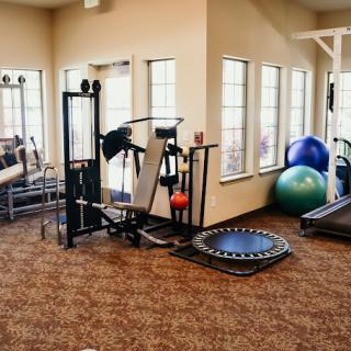 A gym interior featuring various fitness equipment, including a treadmill and exercise balls.