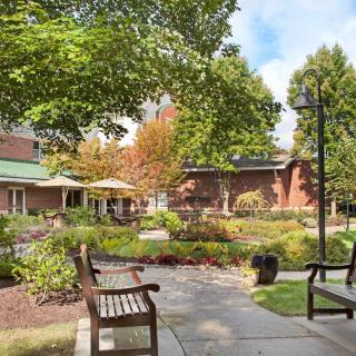 A peaceful garden setting with benches and lush greenery.