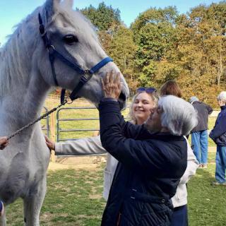 A joyful moment as a woman interacts with a beautiful white horse outdoors.