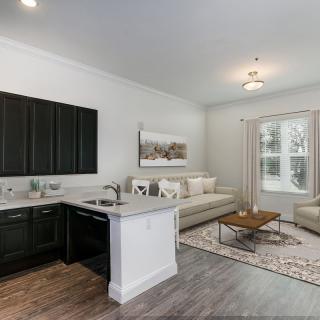 A modern open floor plan with a kitchen and living room featuring dark cabinets, a cozy beige sofa, and a stylish coffee table.