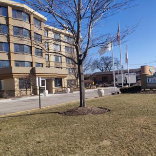 A hotel building with a tree and flags in front, set against a clear blue sky.