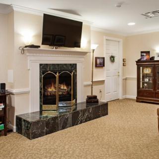 A cozy living room with a fireplace, television, and elegant decor.