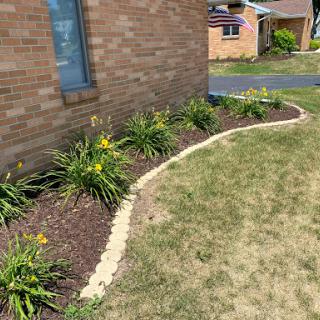 A well-maintained garden featuring a curved mulch border and blooming flowers next to a brick wall.