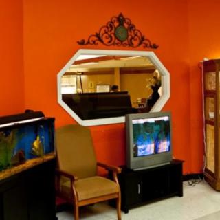 A cozy living room with orange walls, featuring an aquarium, a mirror, and a television.
