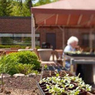 A serene outdoor gardening space with potted plants and fresh greenery under a sunny sky.