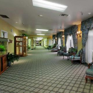 A spacious hallway with patterned carpet, lined with chairs and tables, featuring curtains and decorative plants.