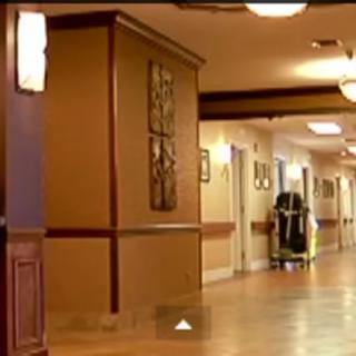 A well-lit corridor with wall decorations and doors along the sides.