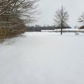 A serene winter landscape blanketed in fresh snow.