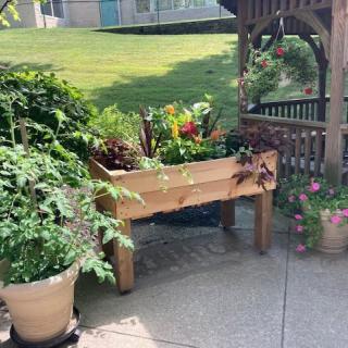 A sunny patio garden with a wooden raised bed and various potted plants.