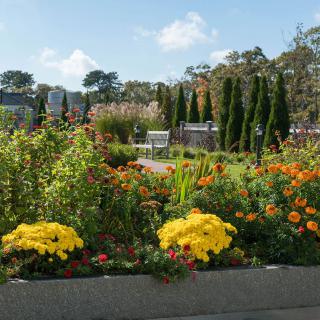 A vibrant and well-maintained garden displaying a variety of colorful flowers and neatly arranged greenery under a bright blue sky.