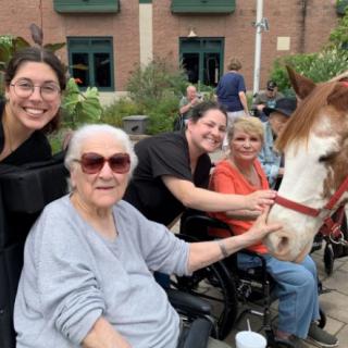 Seniors and caretakers enjoying time with a horse outdoors.