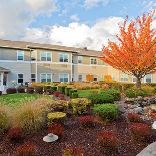 A beautifully landscaped garden with an autumn tree in front of a residential building.