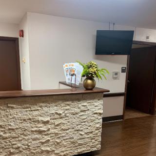 A modern reception area featuring a stone counter, a potted plant, and a television.