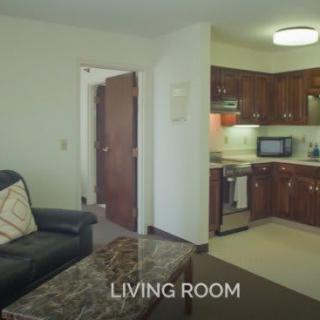 Cozy apartment living room with an adjacent kitchen.