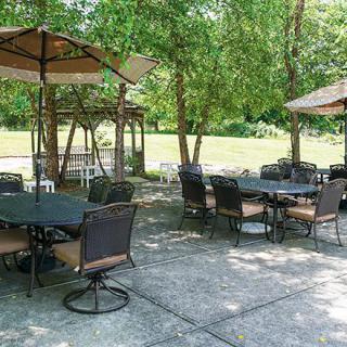 An outdoor patio area with tables, chairs, and umbrellas surrounded by trees.