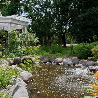 A serene garden pond surrounded by lush greenery and rocks.