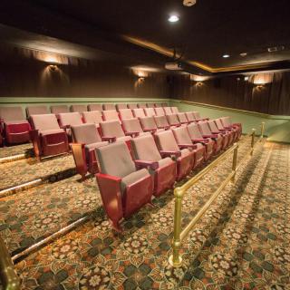 Empty theater with rows of seats and patterned carpet.