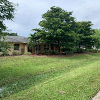 A suburban house surrounded by a lush green yard and trees.