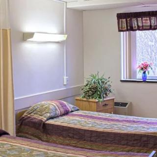 A simple hospital room with two beds and a window, decorated with a plant and flowers.