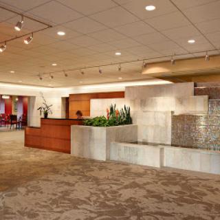 A modern office lobby featuring a minimalist reception area, elegant lighting, and decorative plants.