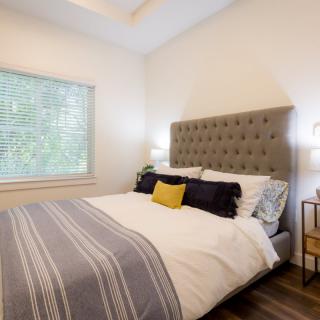 A modern bedroom with a tufted headboard, stylish bedding, and ample natural light through a window.