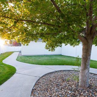 A serene backyard with a tree, well-maintained grass, and a curved sidewalk at sunset.