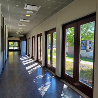 A bright hallway with large windows casting sunlight and shadows on the floor.