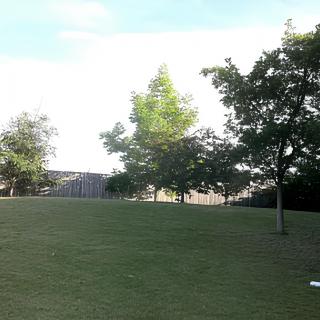 A serene park with lush green grass and several trees under a clear blue sky.