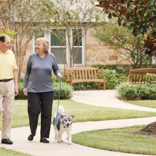A couple enjoying a leisurely walk with their dog in a serene park setting.