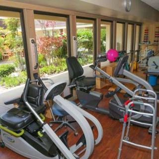 A rehabilitation gym with various exercise machines and a garden view through large windows.