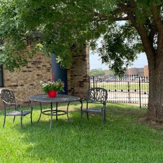 A cozy outdoor seating area beneath a tree, perfect for relaxing and enjoying the view.