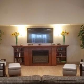 A cozy living room setup featuring a television above a fireplace, flanked by decorative plants and illuminated by wall-mounted lamps.