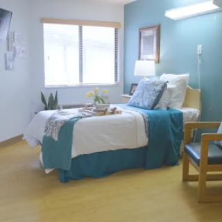 A serene hospital room featuring a neatly made bed, calming blue walls, and a touch of greenery.