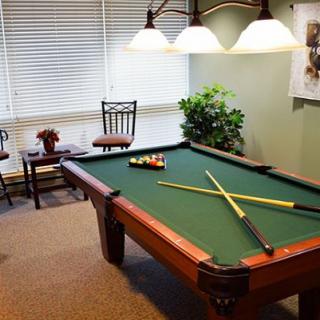 A cozy billiard room featuring a pool table with cue sticks and billiard balls under warm indoor lighting.
