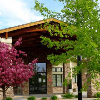 A building entrance surrounded by vibrant trees and lush landscaping.