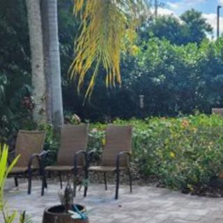 A serene patio area with chairs surrounded by lush greenery.