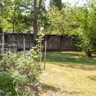 A sunny backyard garden with a wooden fence and lush greenery.