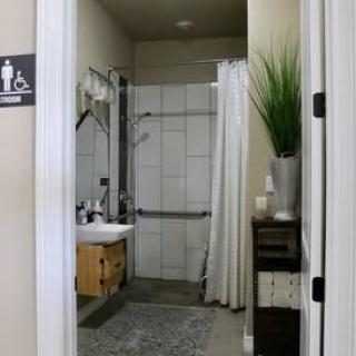 A modern bathroom with a sink, shower, and decorative plant.