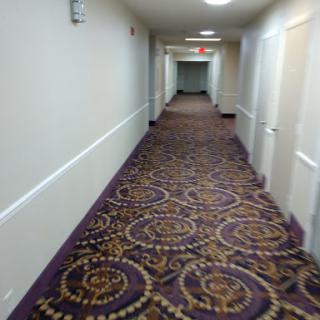 A view of a hotel hallway featuring patterned carpet and doors on either side.