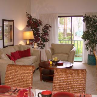 A cozy living room featuring comfortable sofas, a coffee table, and lush indoor plants, with a view of the outside through sliding glass doors.