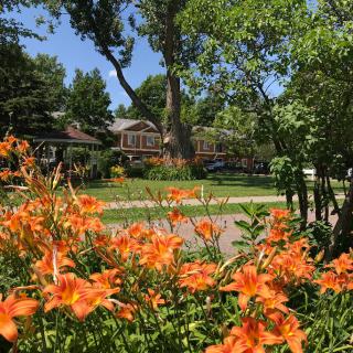 A beautifully landscaped garden with vibrant orange flowers in front of a cozy house on a sunny day.